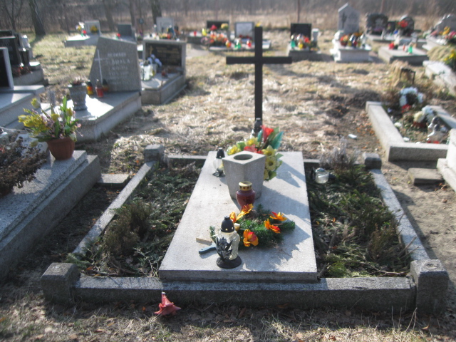   Zabrze Pawłów - Grobonet - Wyszukiwarka osób pochowanych