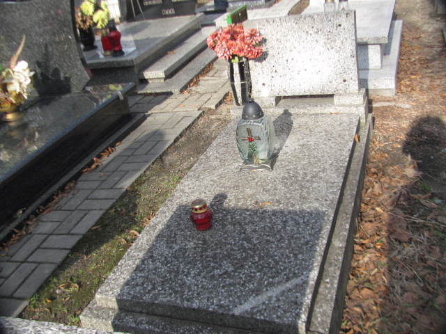 Franciszek Musioł Zabrze Pawłów - Grobonet - Wyszukiwarka osób pochowanych